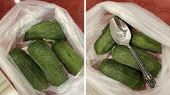 Krispiga gurkor i upp till 10 dagar? Allt tack vare en vanlig matsked